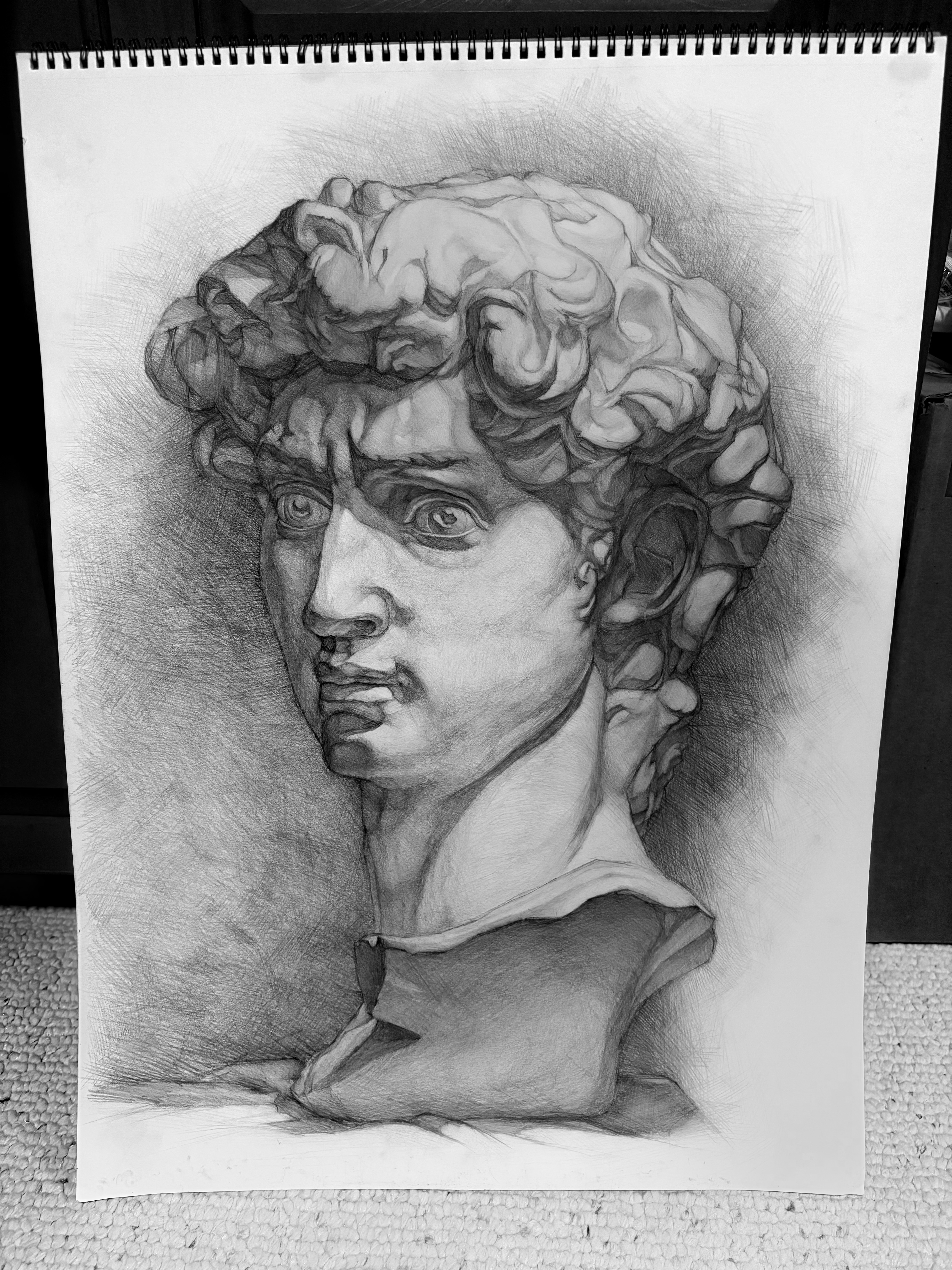 david